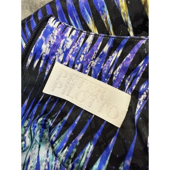 ASO BLAIR WALDORF PETER PILOTTO Digitally Printed Silk Dress Knee length sz 4 US - Picture 15 of 16